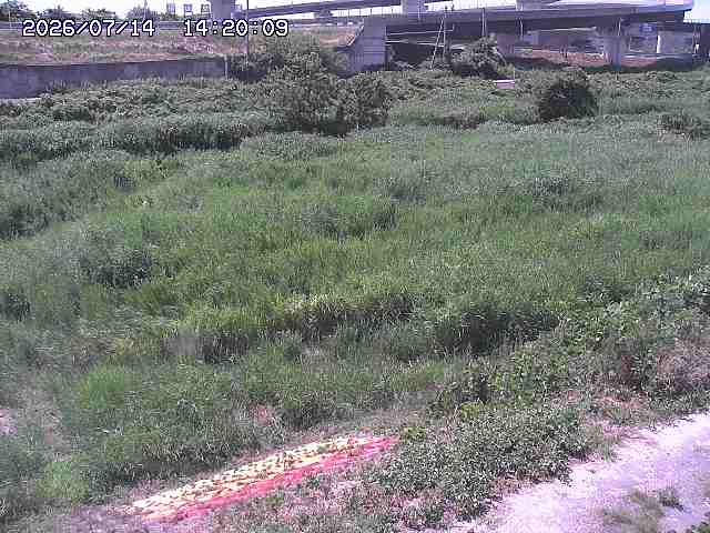 佐陀川２2026/07/14 15:20:00