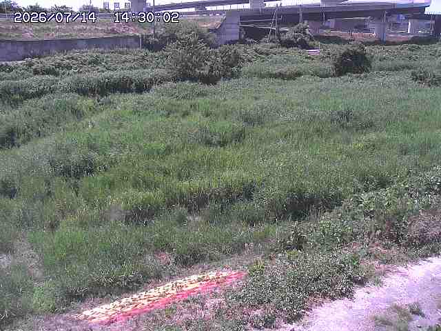 佐陀川２2026/07/14 15:20:00
