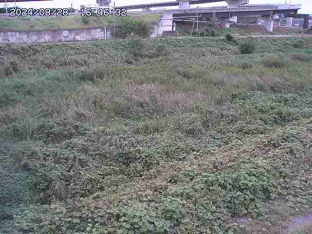 佐陀川２2026/08/28 17:00:00