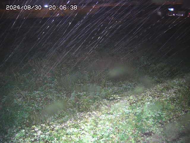 佐陀川２2025/08/31 9:10:00