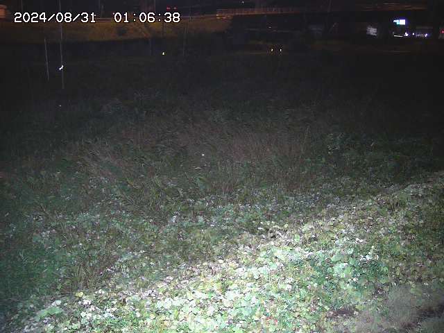佐陀川２2025/08/31 9:10:00