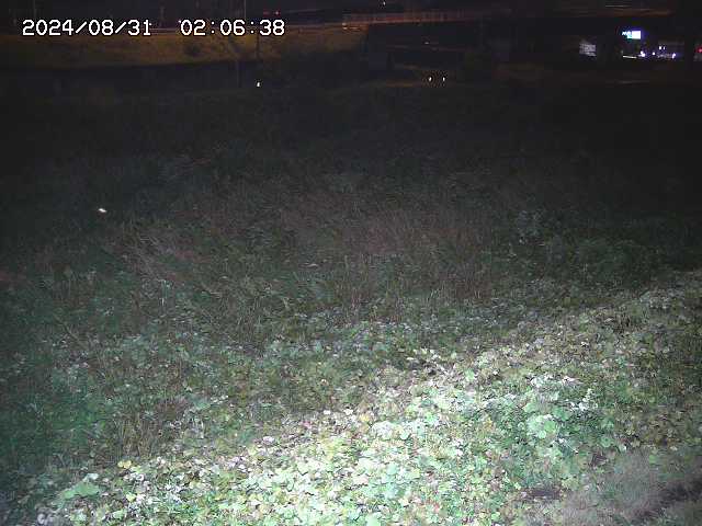 佐陀川２2025/08/31 9:10:00