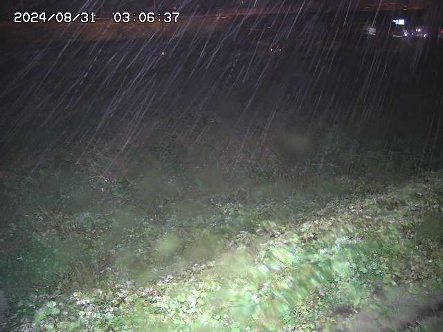佐陀川２2025/08/31 9:10:00