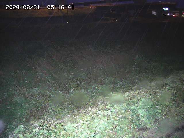 佐陀川２2025/08/31 9:10:00