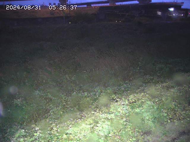 佐陀川２2025/08/31 9:10:00