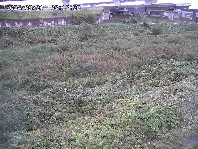 佐陀川２2025/08/31 9:10:00