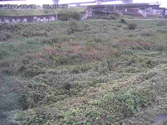 佐陀川２2025/08/31 9:10:00