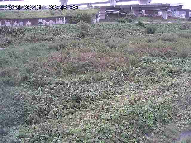 佐陀川２2025/08/31 9:10:00