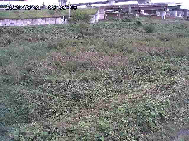 佐陀川２2025/08/31 9:10:00
