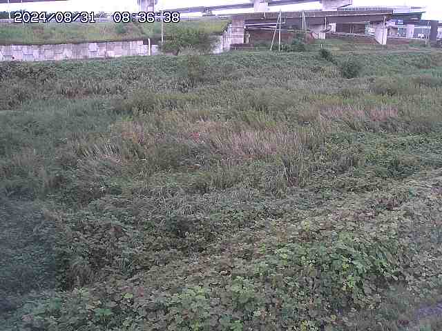 佐陀川２2025/08/31 9:10:00