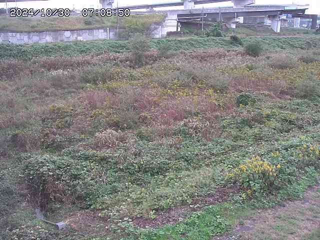 佐陀川22025/10/31 07:50