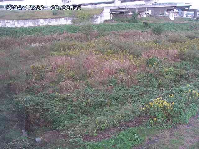 佐陀川22025/10/31 07:50
