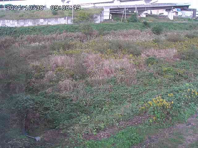 佐陀川22025/10/31 07:50