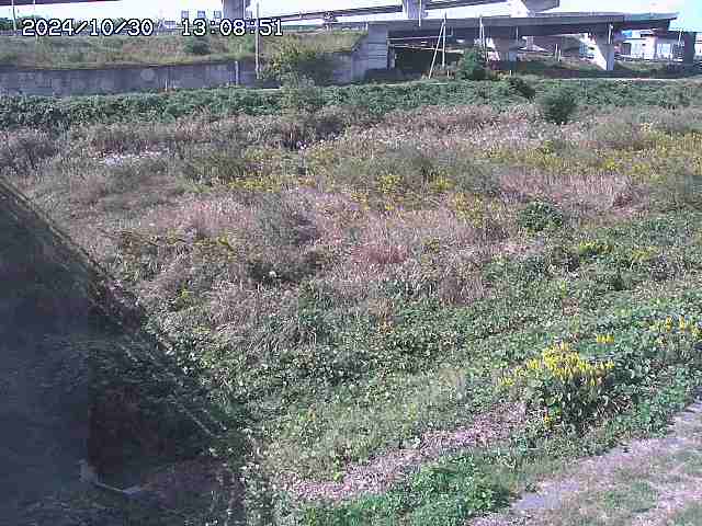 佐陀川22025/10/31 07:50