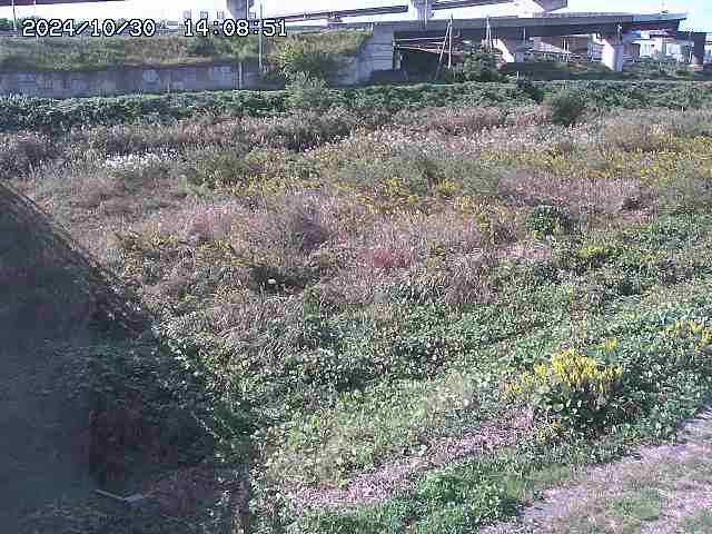 佐陀川22025/10/31 07:50