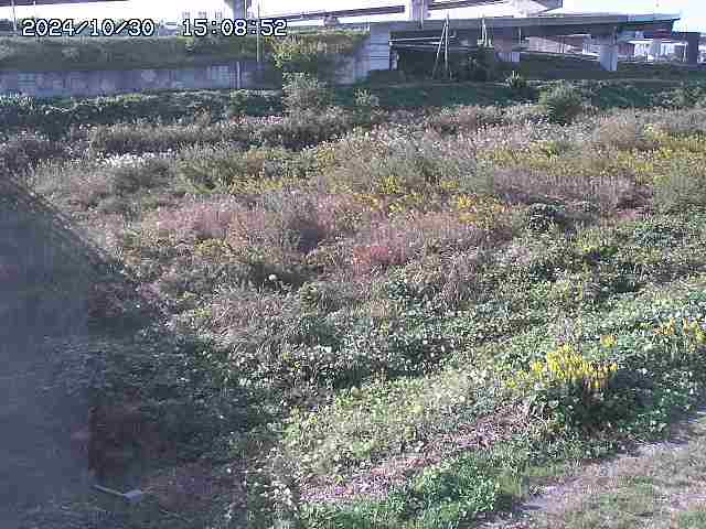 佐陀川22025/10/31 07:50