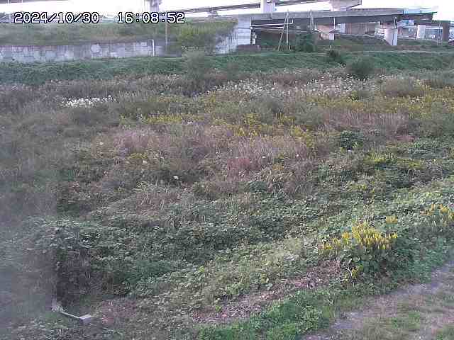 佐陀川22025/10/31 07:50