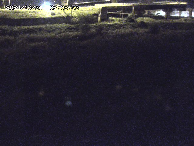 佐陀川22025/10/31 07:50