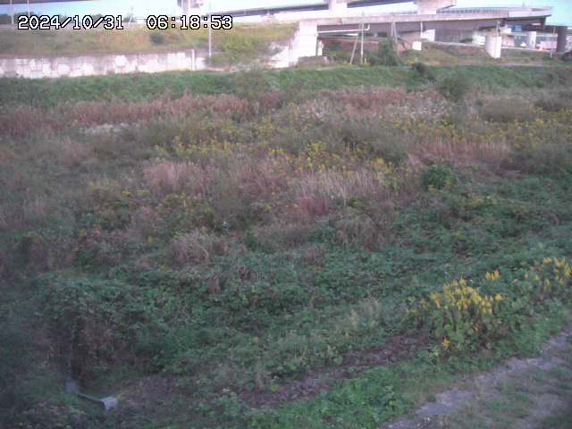 佐陀川22025/10/31 07:50