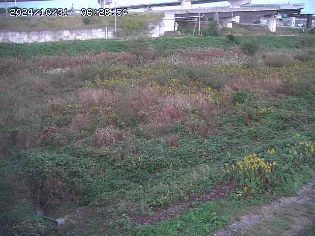 佐陀川22025/10/31 07:50