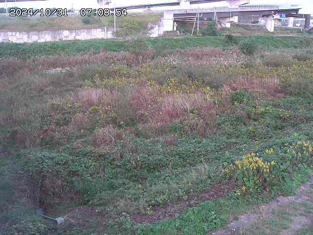 佐陀川22025/10/31 07:50