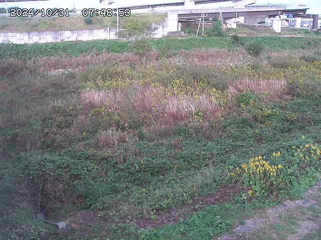 佐陀川22025/10/31 07:50