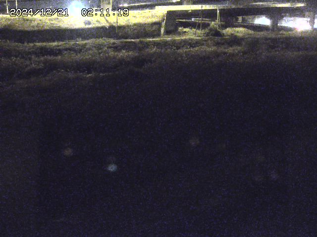 佐陀川２2025/12/22 1:00:00