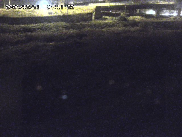 佐陀川２2025/12/22 1:00:00