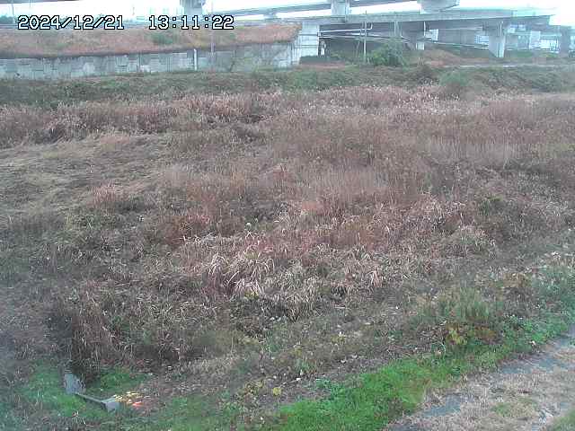 佐陀川２2025/12/22 1:00:00