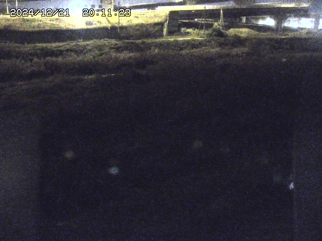 佐陀川２2025/12/22 1:00:00