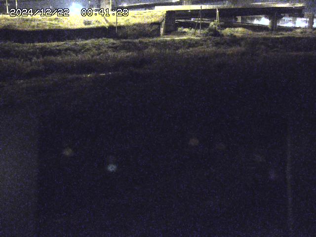佐陀川２2025/12/22 1:00:00