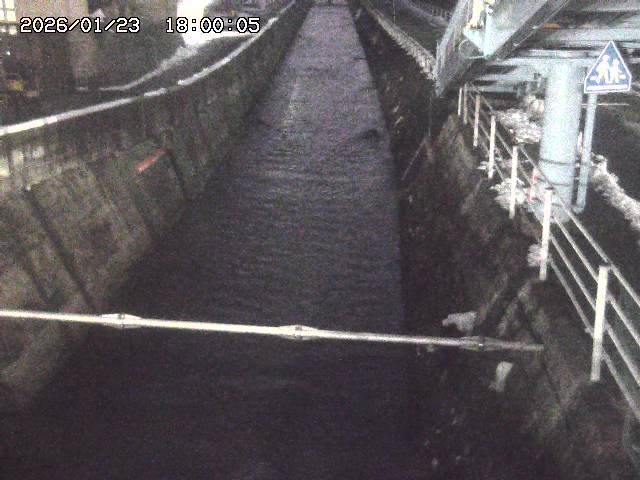 大井手川１2026/01/24 1:20:00