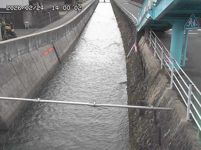 大井手川１2026/02/25 2:30:00