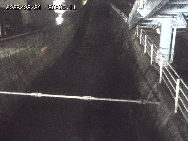 大井手川１2026/02/25 2:30:00