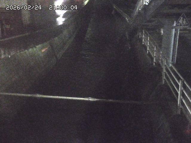 大井手川１2026/02/25 2:30:00