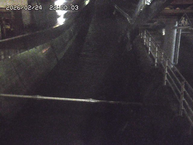 大井手川１2026/02/25 2:30:00