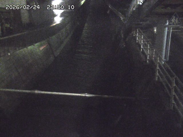 大井手川１2026/02/25 2:30:00