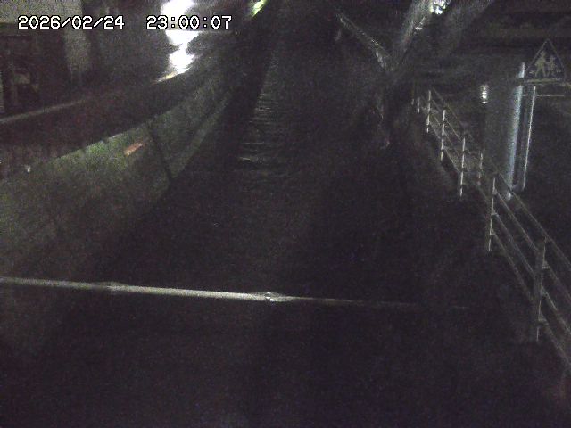 大井手川１2026/02/25 2:30:00