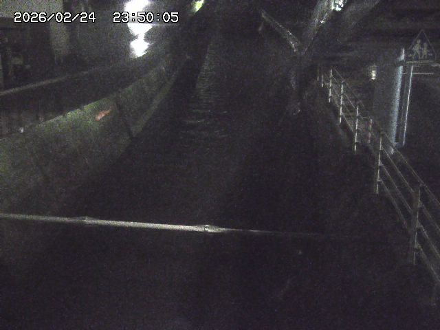 大井手川１2026/02/25 2:30:00