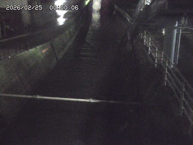 大井手川１2026/02/25 2:30:00