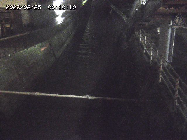 大井手川１2026/02/25 2:30:00