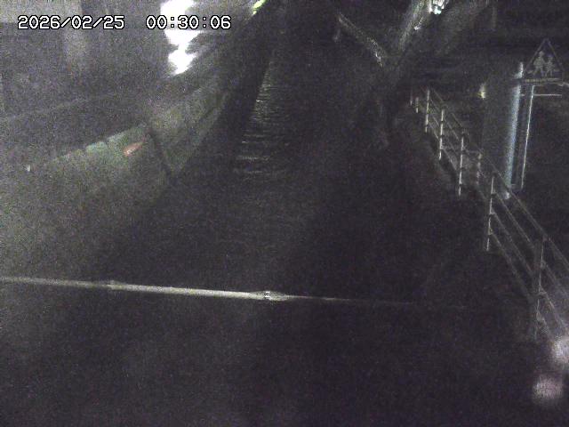 大井手川１2026/02/25 2:30:00