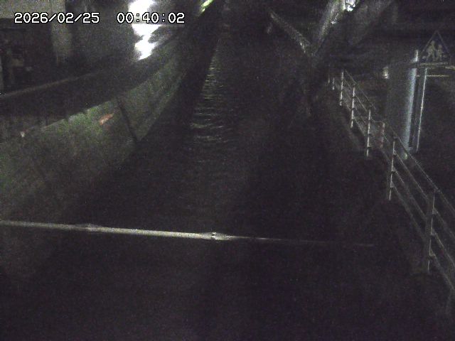 大井手川１2026/02/25 2:30:00