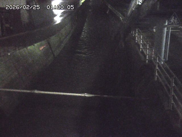 大井手川１2026/02/25 2:30:00