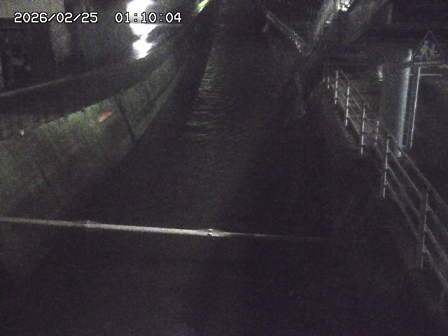 大井手川１2026/02/25 2:30:00