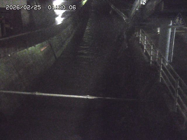 大井手川１2026/02/25 2:30:00