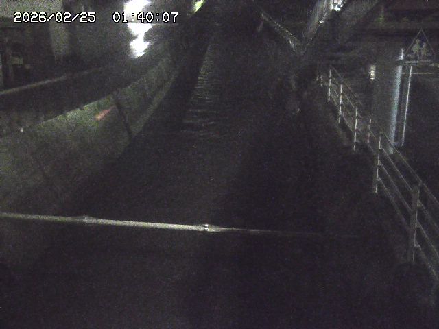 大井手川１2026/02/25 2:30:00