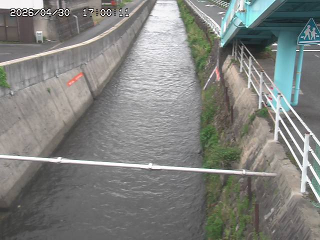 大井手川１2026/05/01 17:00:00