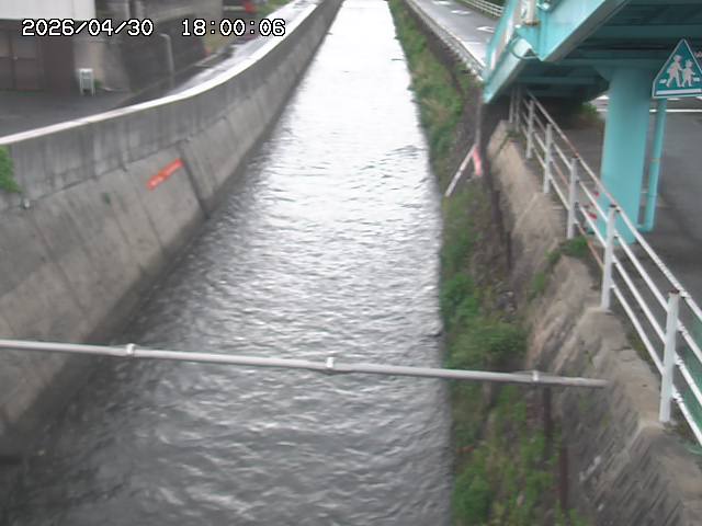 大井手川１2026/05/01 17:00:00