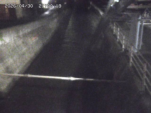 大井手川１2026/05/01 17:00:00